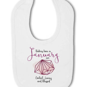 Babies born in January Birthstone - Baby Hook and Loop Bib