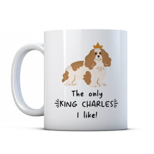 The Only King Charles I Like! Funny Coronation Mug Gift